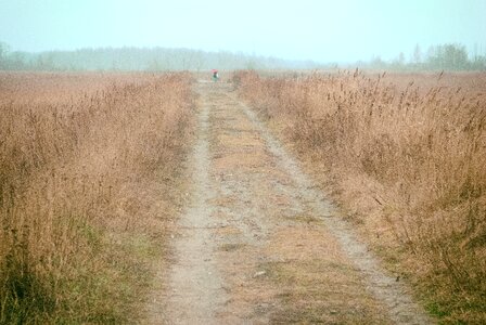 Path horizon endless