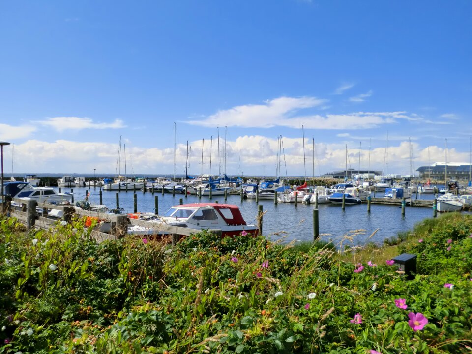 Summer holiday denmark port