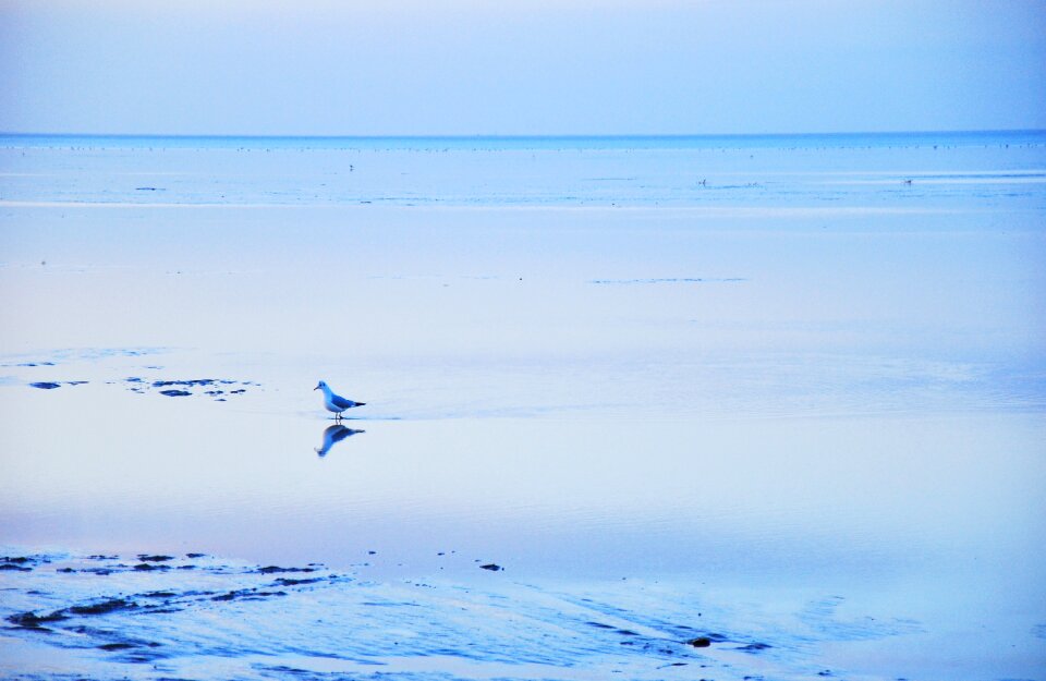Landscape sea peaceful
