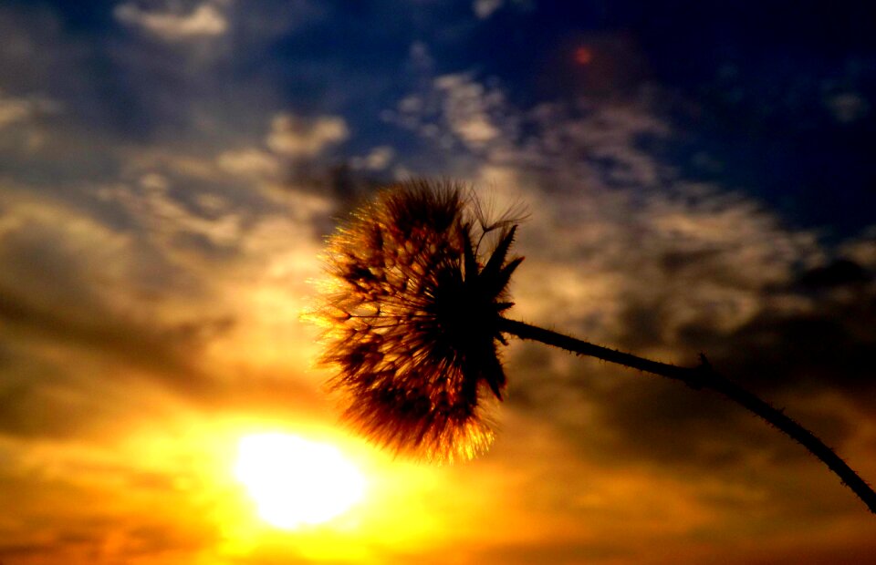Sky red silhouette