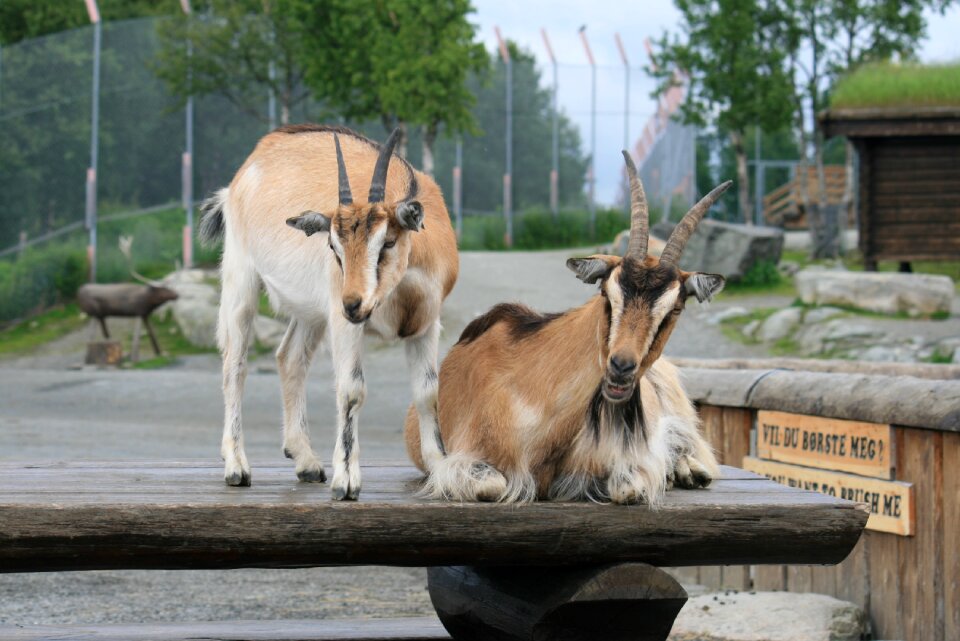 Nature farm