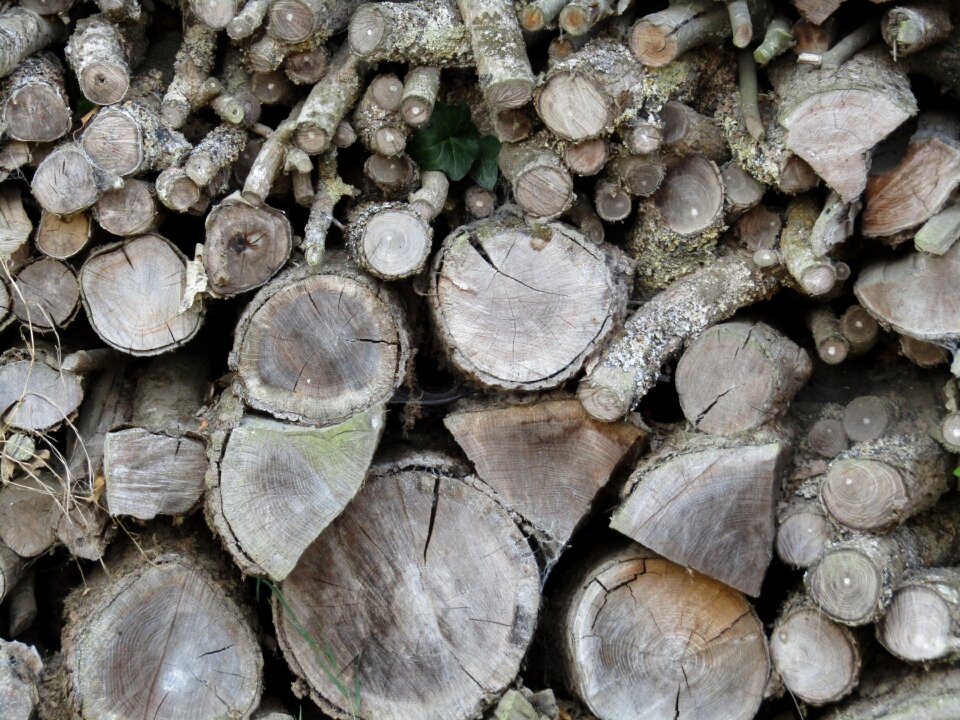 Log trunk woodcutter