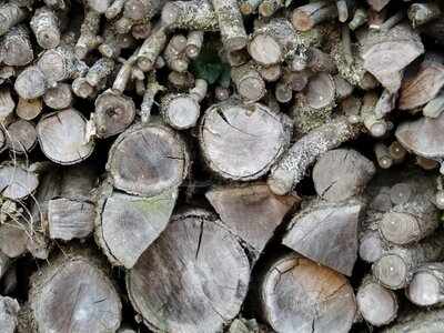 Log trunk woodcutter