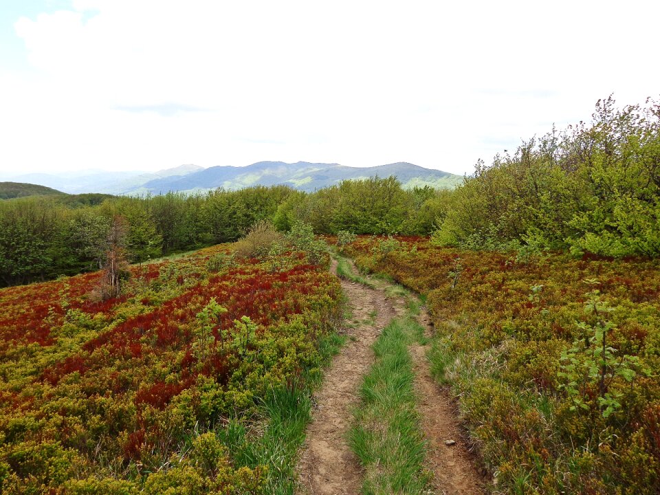 Way panorama nature