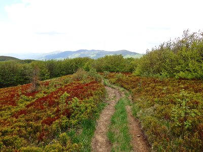 Way panorama nature photo