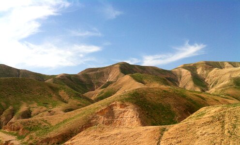 Desert spring israel photo