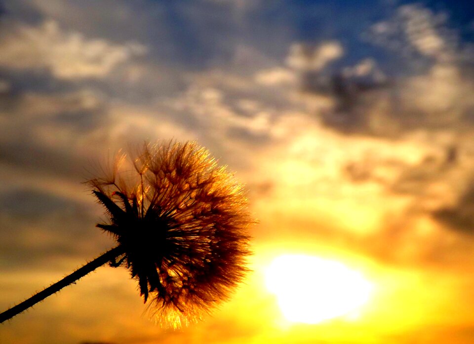 Sky red silhouette