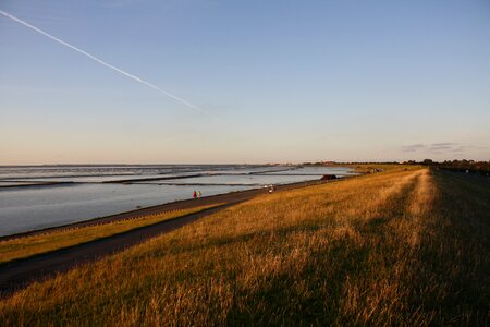 Beach dunes sea