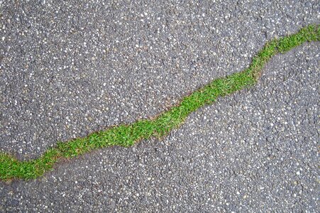Green nature bio