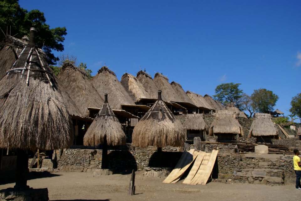 Village authentic house
