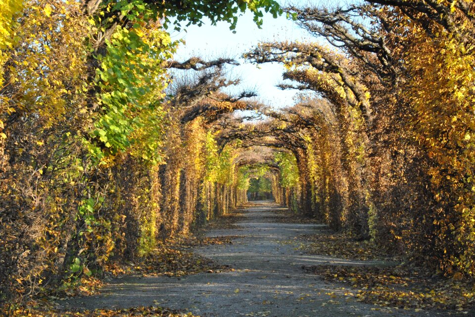 Landscape orange october