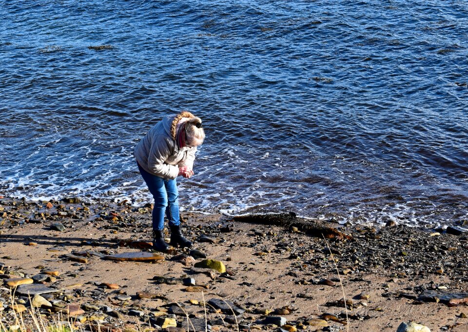 Sand rocks shoreline photo