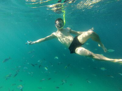 Baja california fish