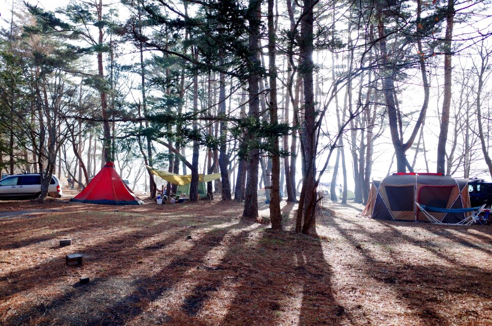 Tent outdoors woods