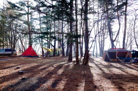 Tent outdoors woods photo