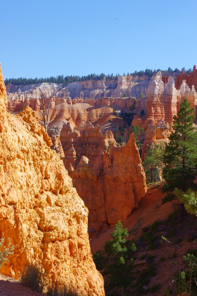 Formation cliff national