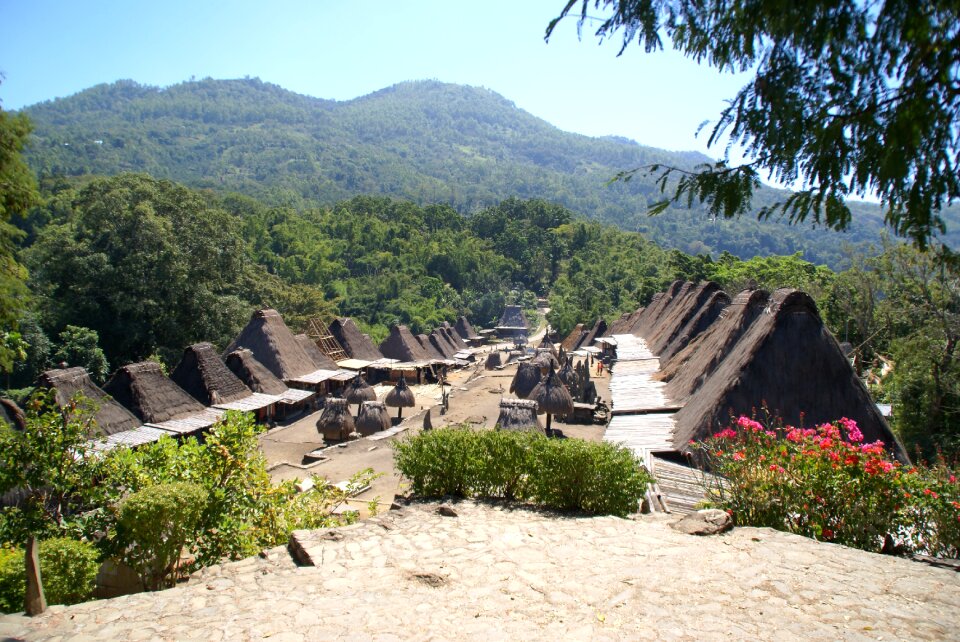 Village authentic house