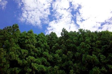 Green mountain cloud