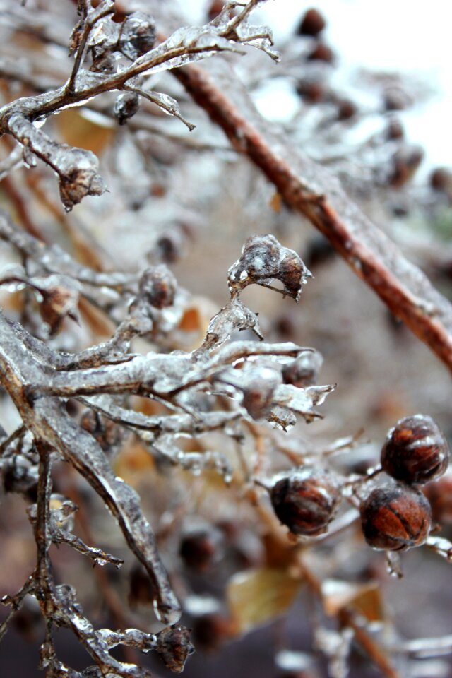 Winter freezing freezing rain