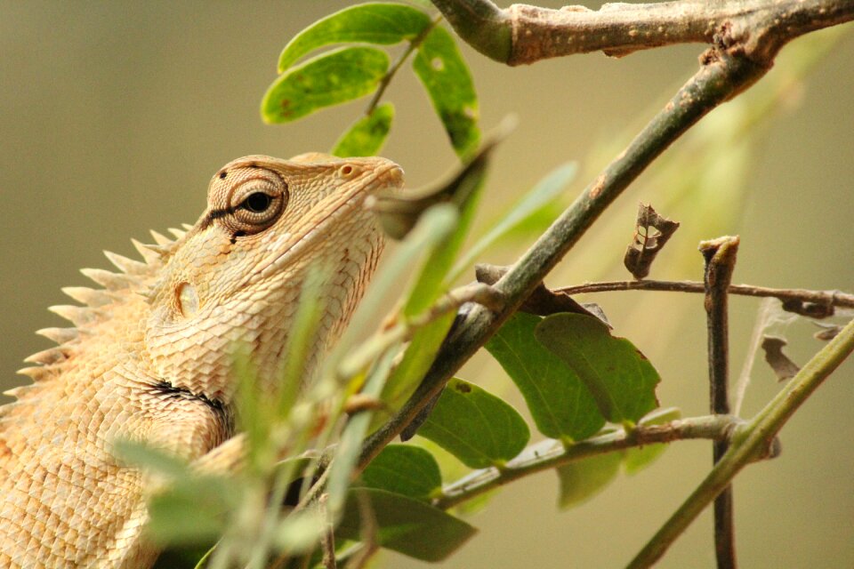 Cute wildlife