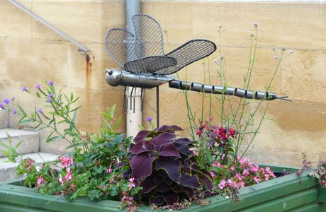 Dragonfly welded decoration