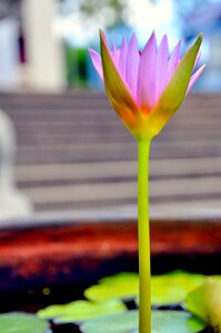 Religious religion asian