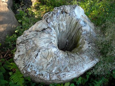Nature natural phenomenon art in nature