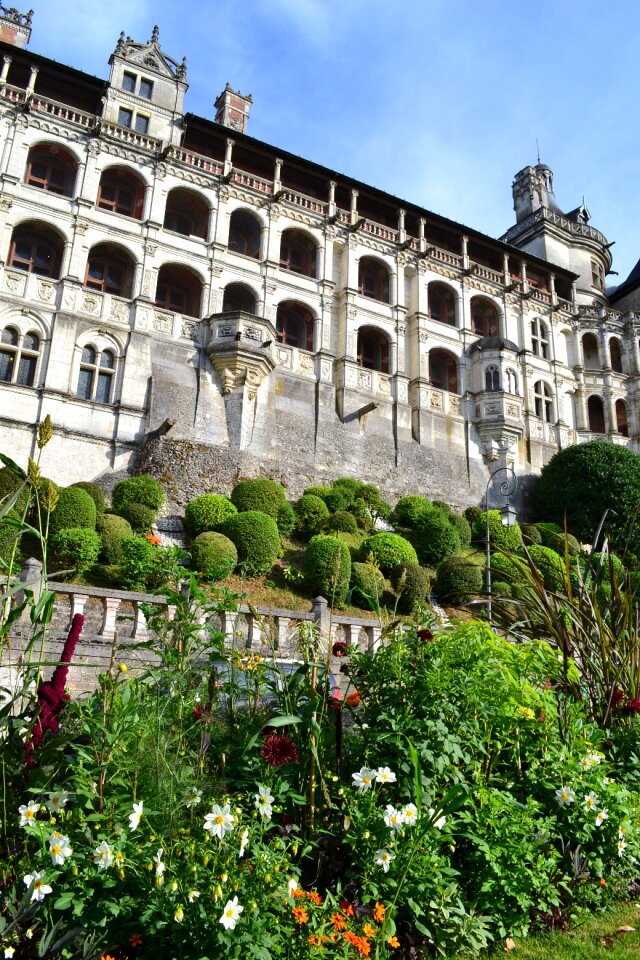 Bushes carved château de françois first renaissance