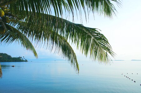 Tropical paradise sun