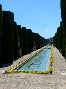 Alcázar de los reyes cristianos park hedge planting