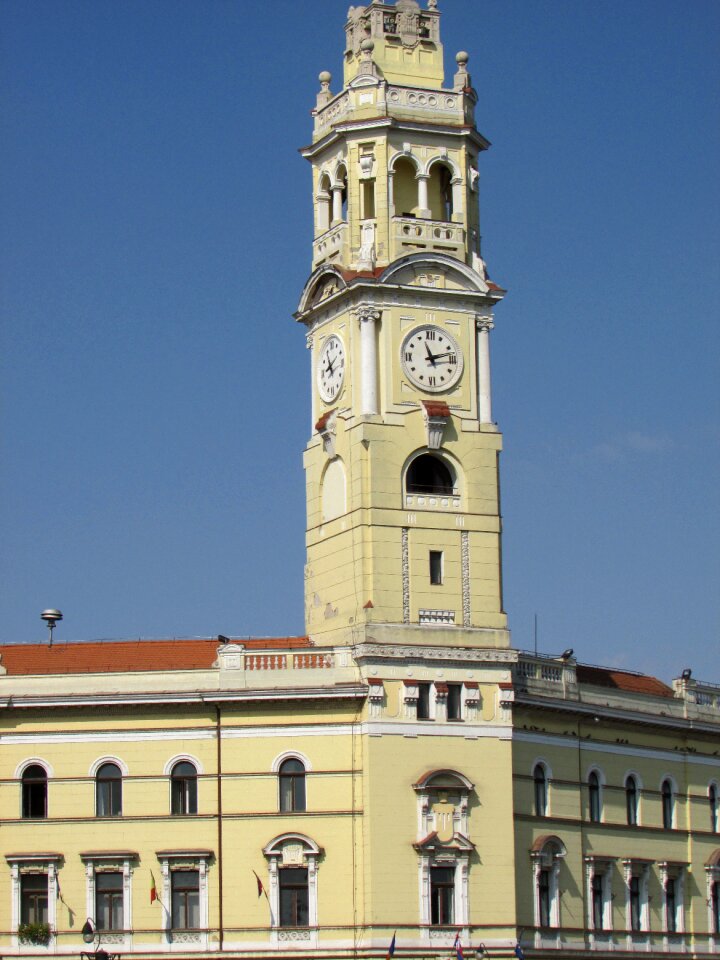 Center transylvania crisana