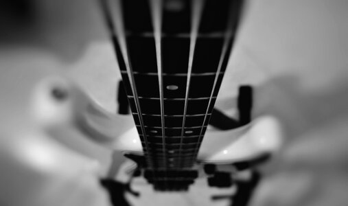 Electric bass strings bass guitar photo