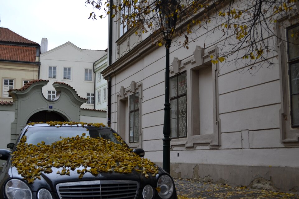 Season street prague