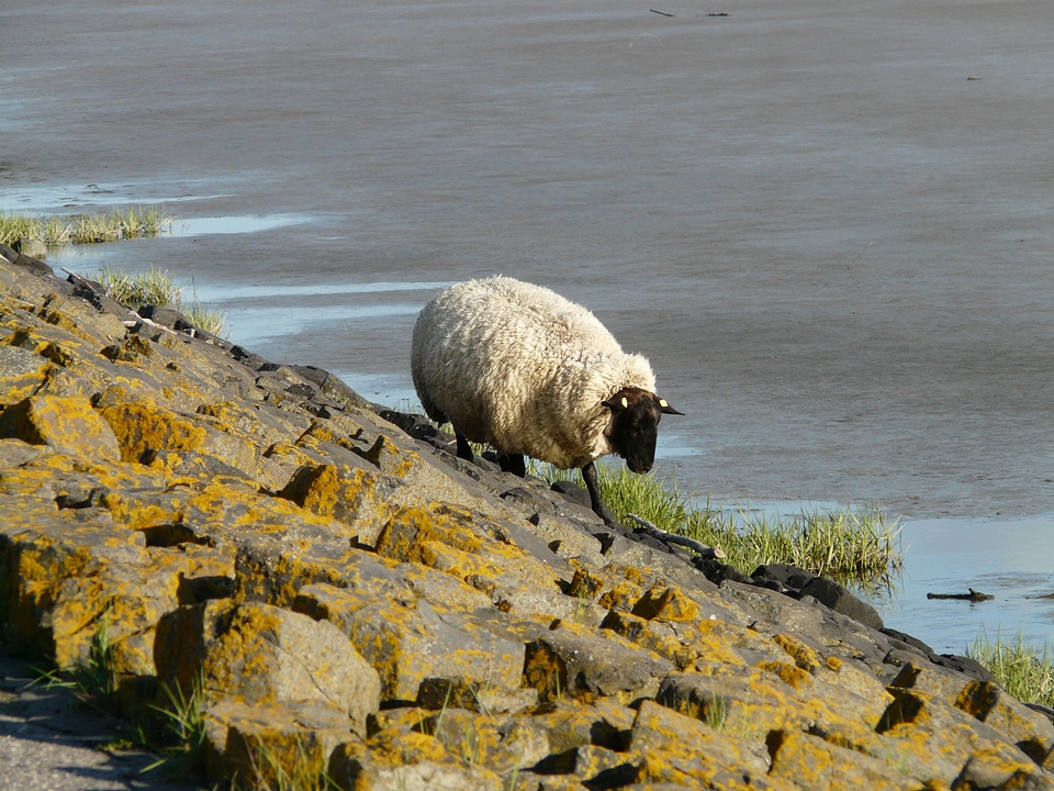 Alone climb breakwater