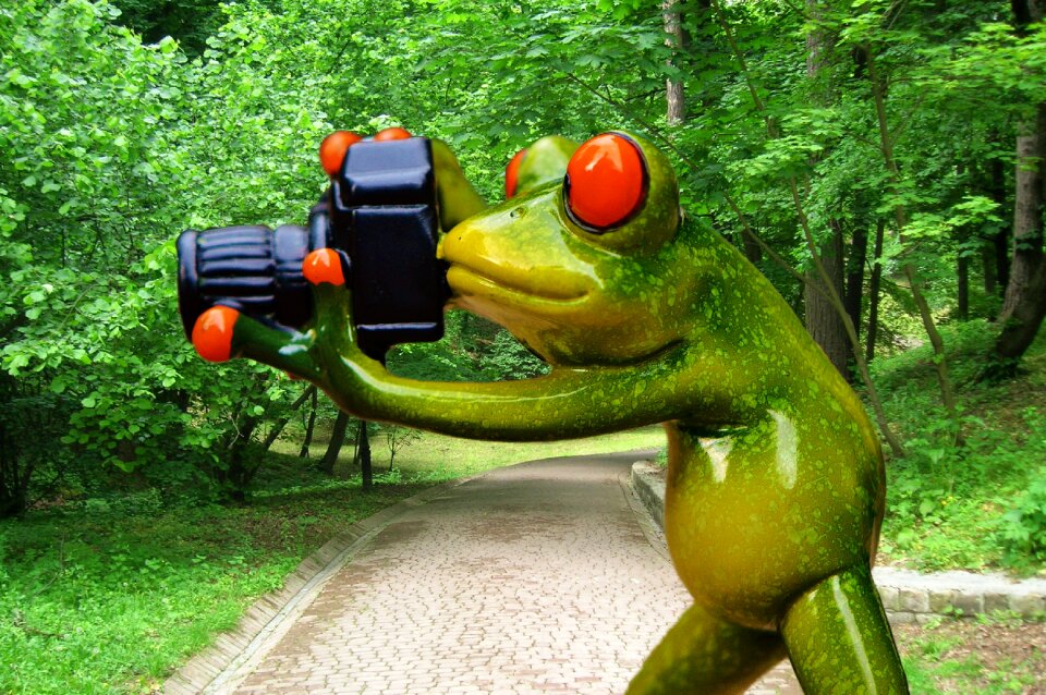 Fun camera green