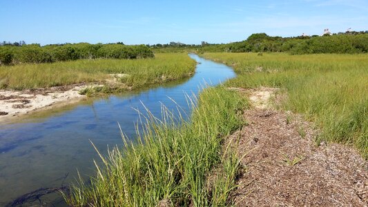 Marsh salt canal