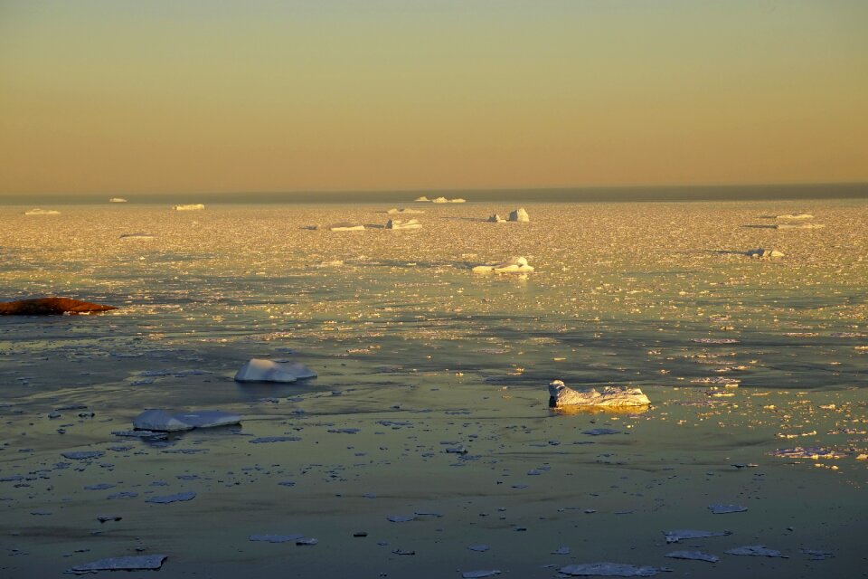 Sea icebergs ice photo
