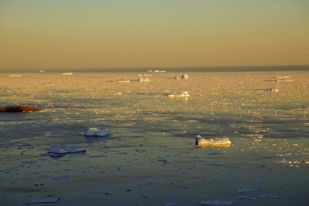 Sea icebergs ice