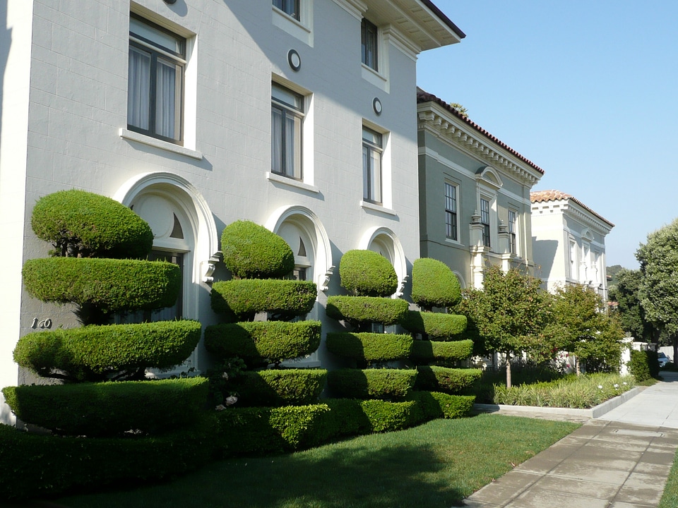 Building facade landscaping
