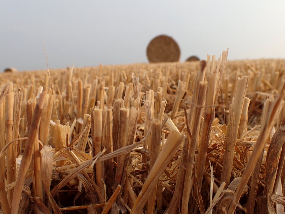 Package bale of straw field