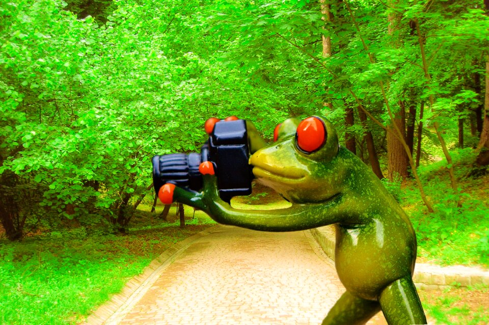 Fun camera green