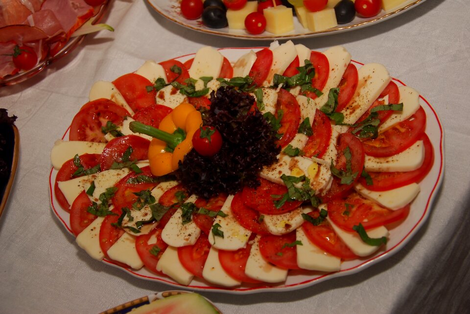 Mozzarella starter eat