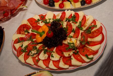 Mozzarella starter eat
