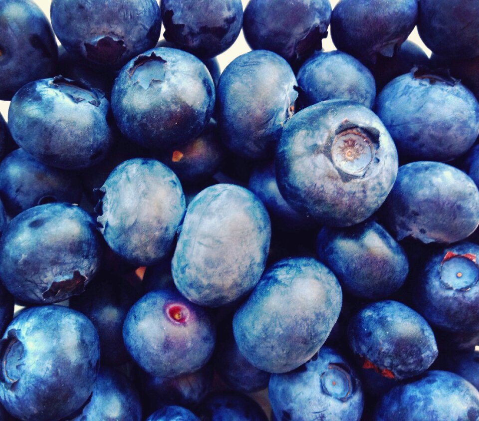 Blue berry blueberries