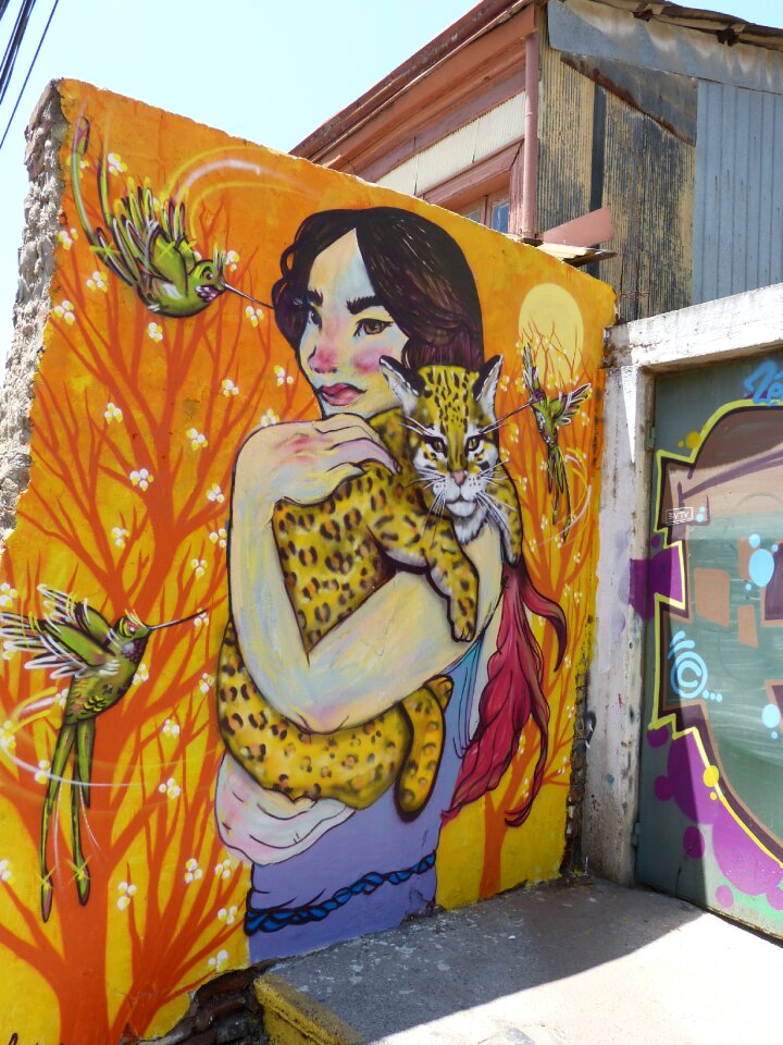 Wall image grafitti