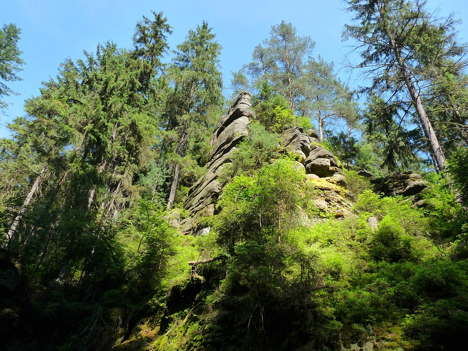 Rock nature climb