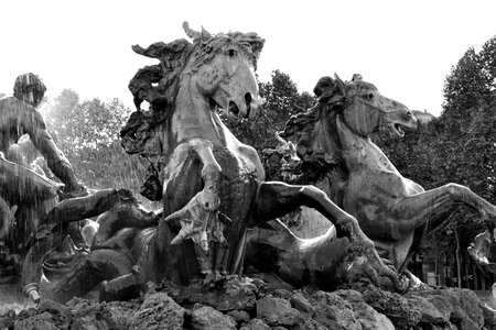 Horse france aquitaine photo