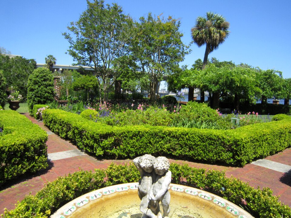 Park outdoor landscape