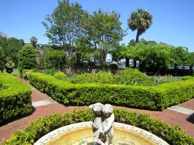 Park outdoor landscape