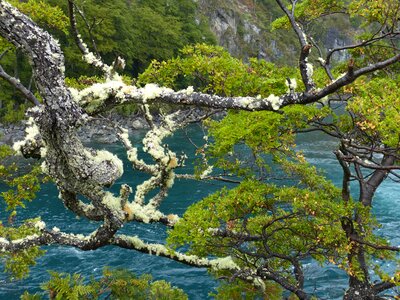 Nature river weave